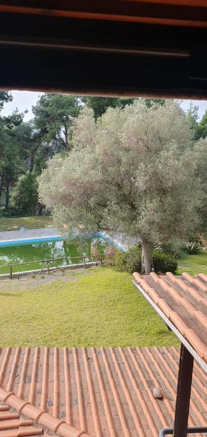 Nikol Villa Elani Siviri Dış mekan fotoğraf